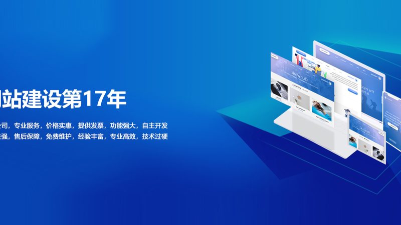 行业现状：定制化需求与标准化服务的碰撞